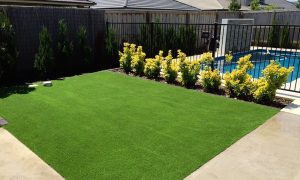 Stonedge Gardens Gledwood Hills Pool Paving, Planting and Decking - Completed Synthetic Lawn Installation